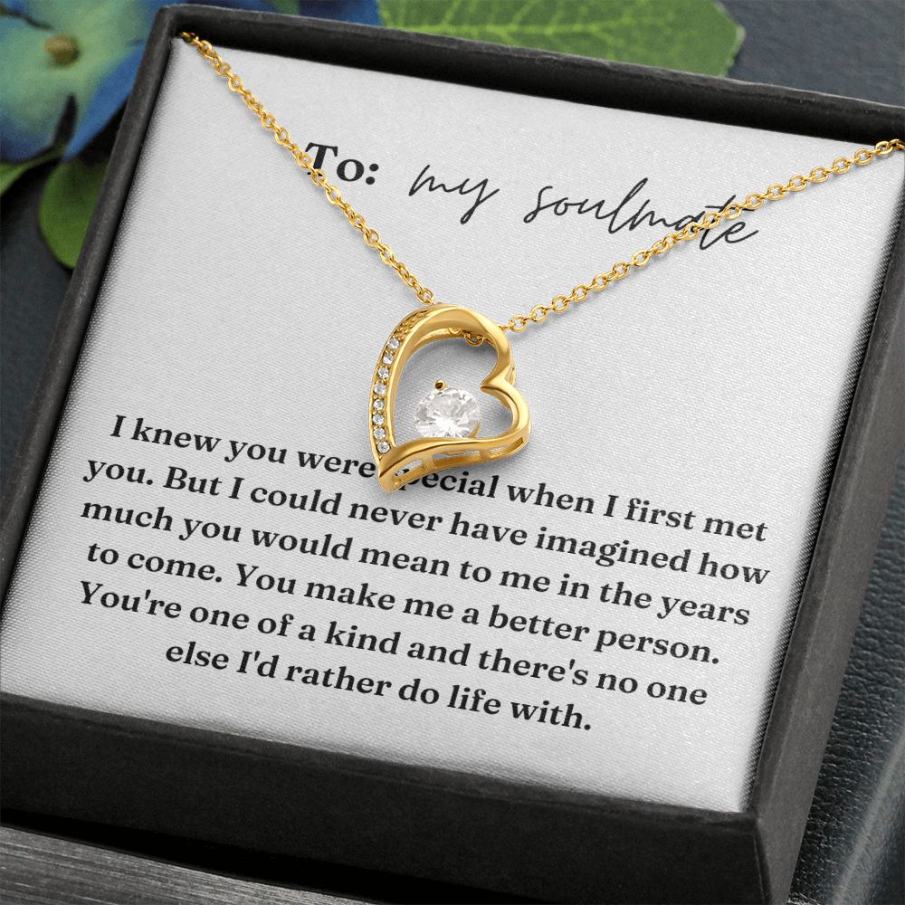 Forever Love Heart Necklace: I Knew You Were Special